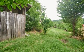 Teren 2240 mp intravilan + casa batraneasca Hintesti-Basangesti - Poză 3