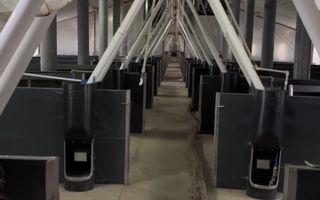 De Vânzare: Hală Modernă pentru Creșterea Porcilor – Complet Automatizată - Poză 5