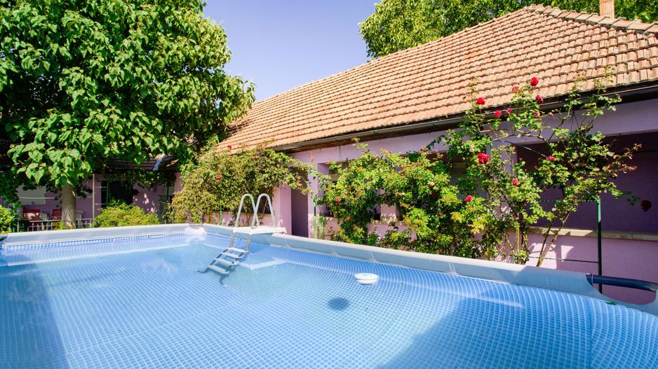 Casa de vanzare in Bodrogu Nou, COMISION 0 - Poză 13