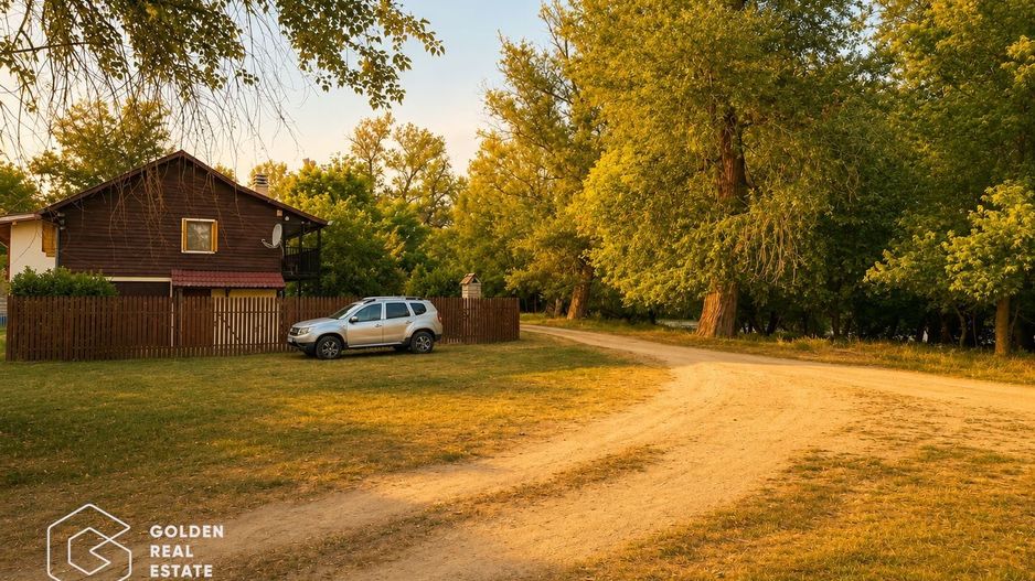 Casa de vacanta Periam Port - Poză 19