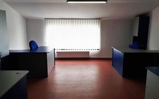 Spațiu de Birouri și Comercial, 800mp + Hală 500mp, Parcare Privată - Poză 17