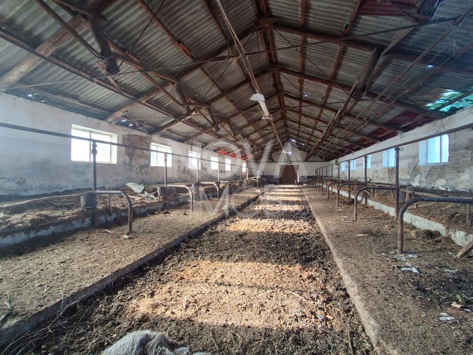 Ferma complet echipata de vanzare – zona Agnita, judetul Sibiu - Poză 11