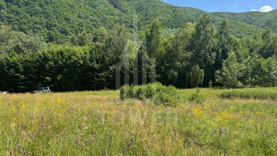 Teren intravilan 4600mp - 55 EUR/mp - EXCLUSIVITATE CISNADIOARA - COMISION 0% - Poză 9