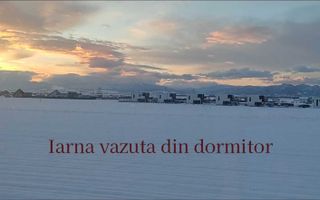 Apartament 2 camere ETJ 1- curte proprie - parcare | Sanpetru | Lempes - Poză 3