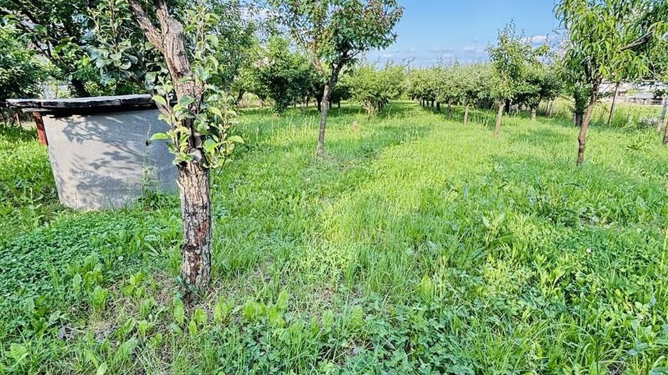 VILA CU 14 CAMERE SI 3405 MP TEREN IN SANMARTIN - Poză 8