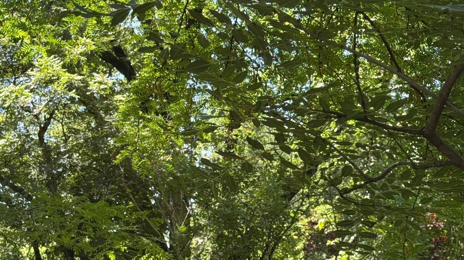 Investitie 2 Camere Intrare Parcul Circului - Poză 7