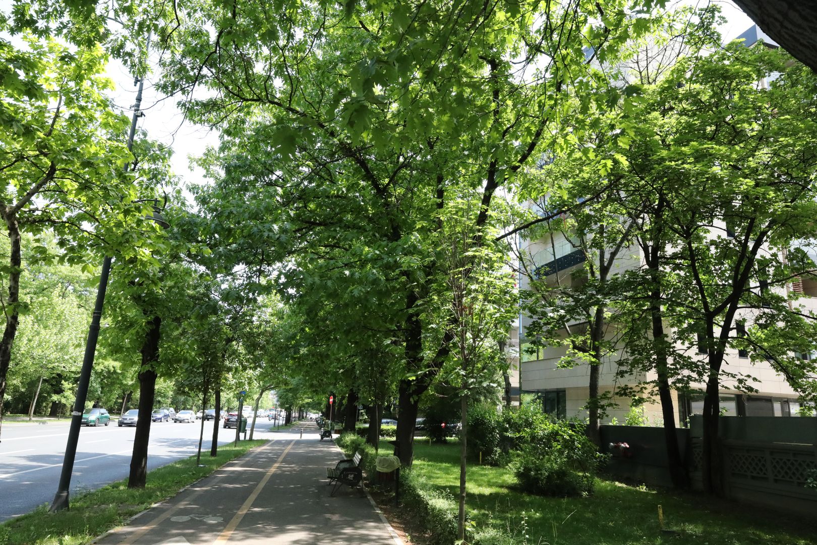 De Gaulle residence, Arcul de Triumf \ De Gaulle residence, - Poză 6