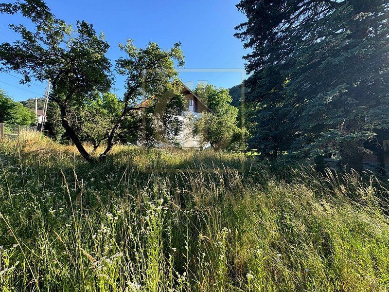 Teren Intravilan 555 mp de Vânzare Bran – Central | 23.28 m Deschidere Stradala - Poză 3