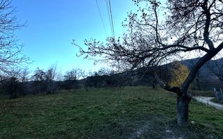 Teren Intravilan cu 2 Deschideri 4000mp Predelut-Bran | GOPO - Poză 1