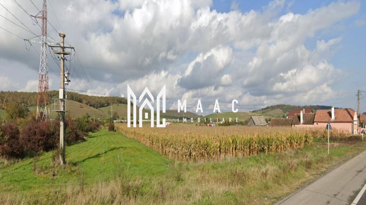 Teren | Proiect Case | Intavilan | 7000mp | Cristian - Poză 1