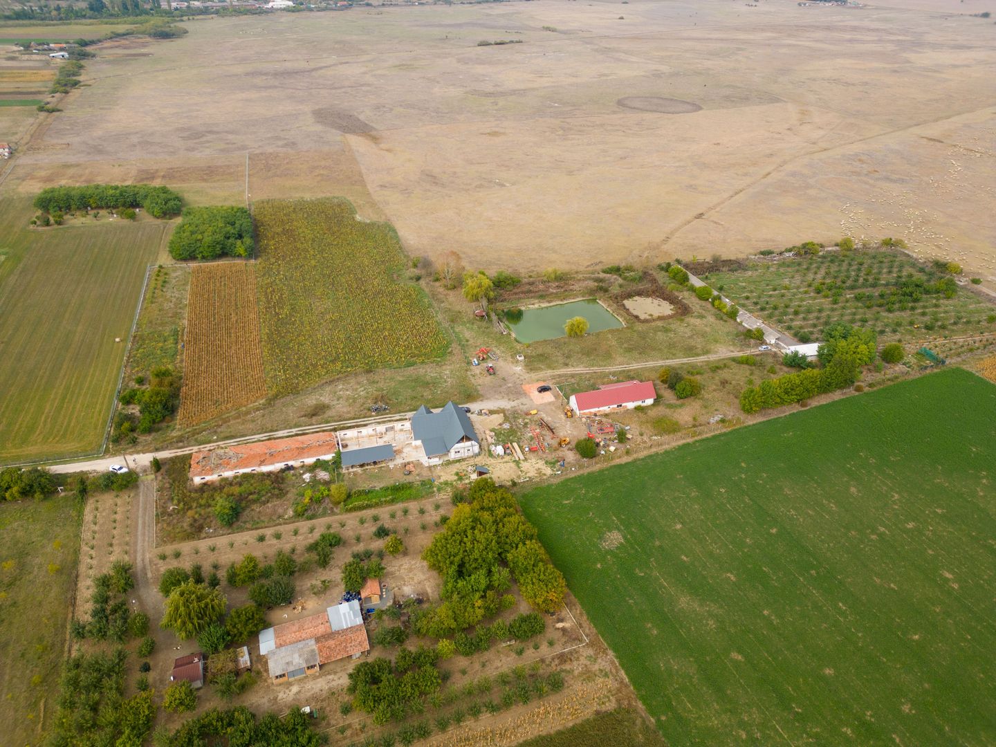 Teren intravilan cu iazuri și casă - Chișineu-Criș - Poză 20