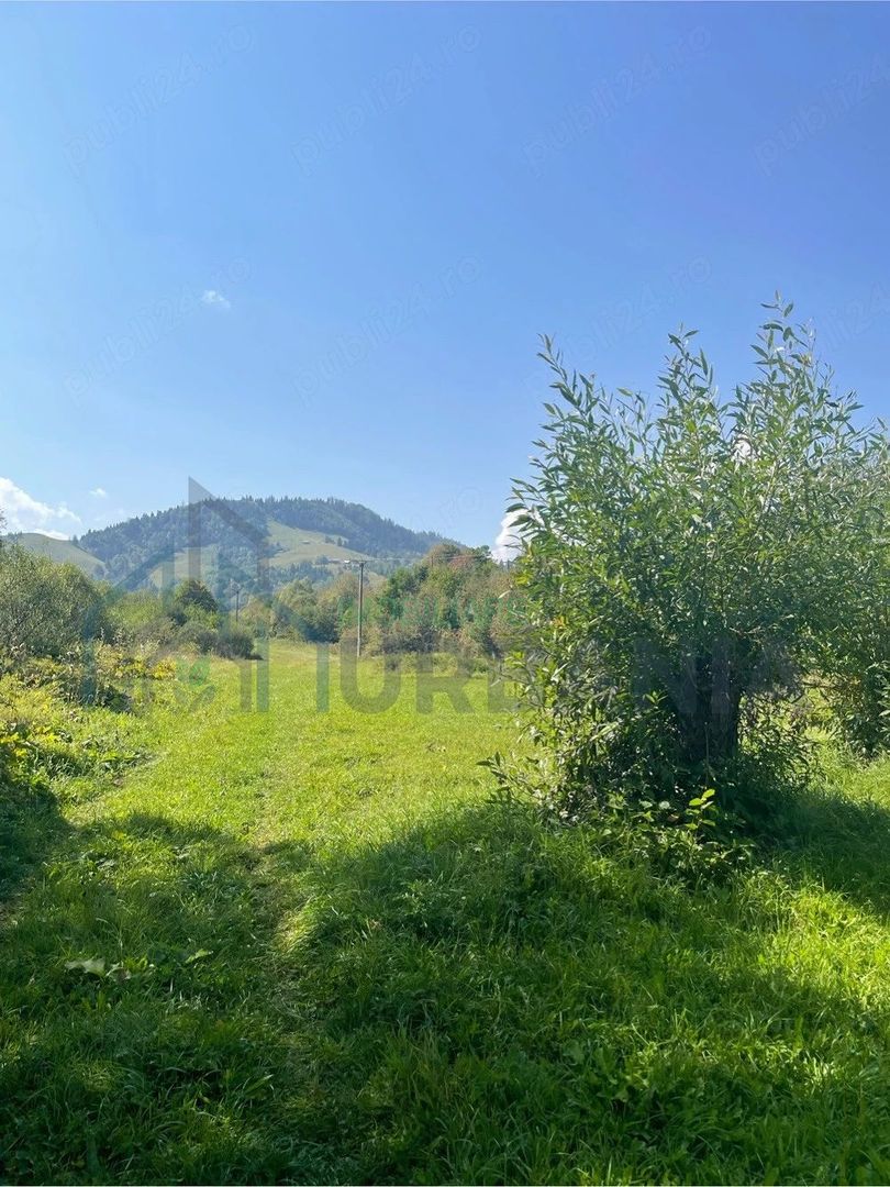 Teren de vânzare, 2.500 mp, Prisaca Dornei, zona Hurghiș, Câmpulung Moldovenesc - Poză 3