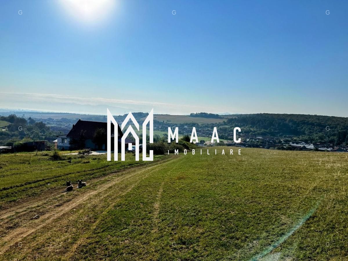 Teren | 651MP | Extravilan | Rusciori - Poză 5