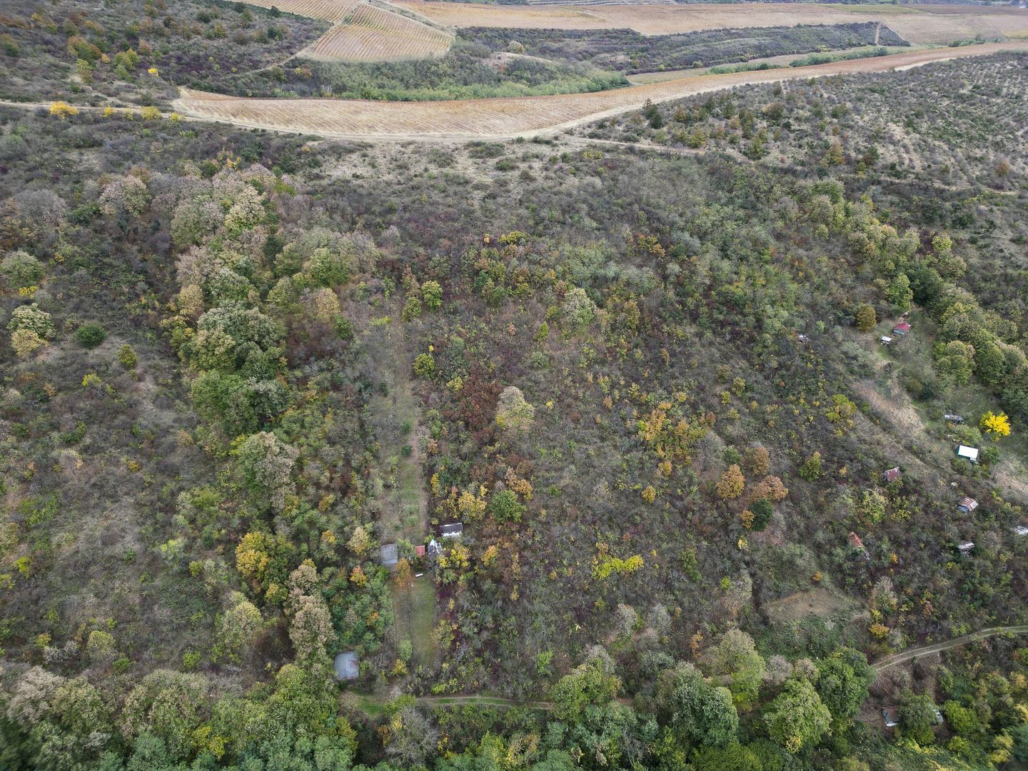 Teren 18,300mp Ghioroc - Poză 4