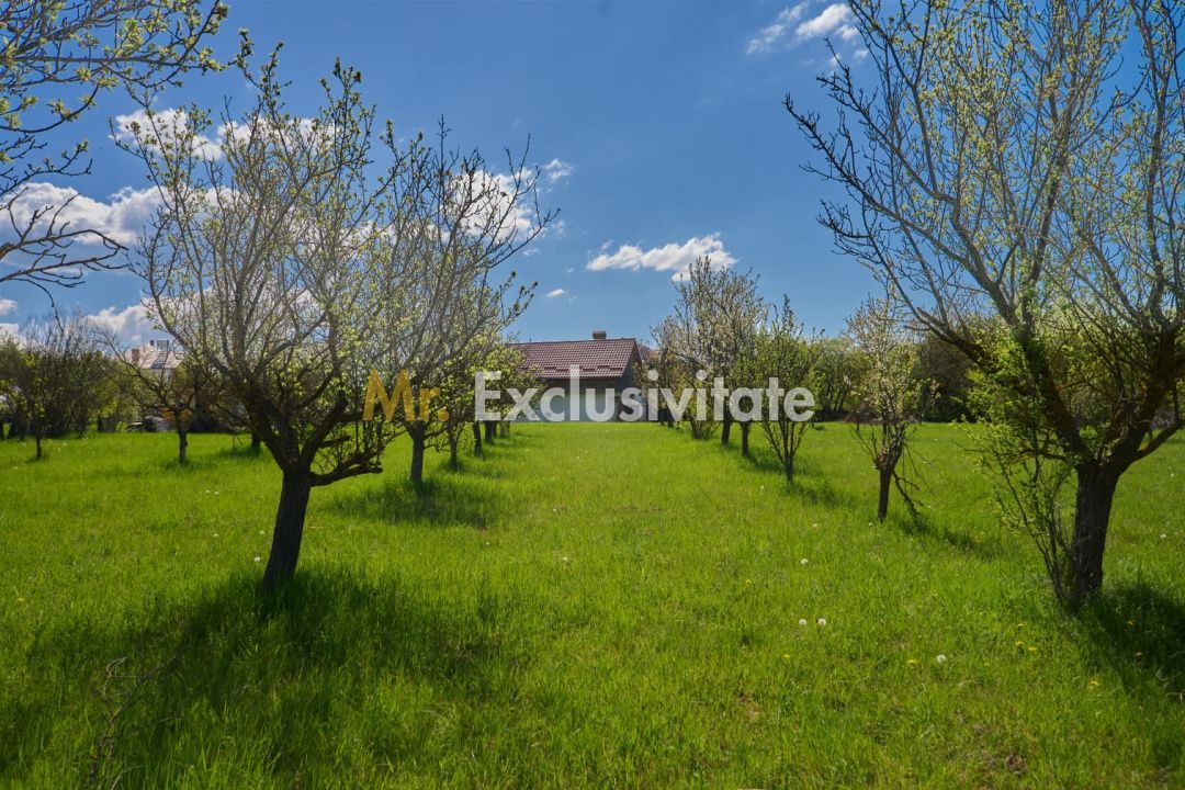 Casa Valea Mare Pravat (Campulung-Arges ) - farmec interbelic - Poză 2