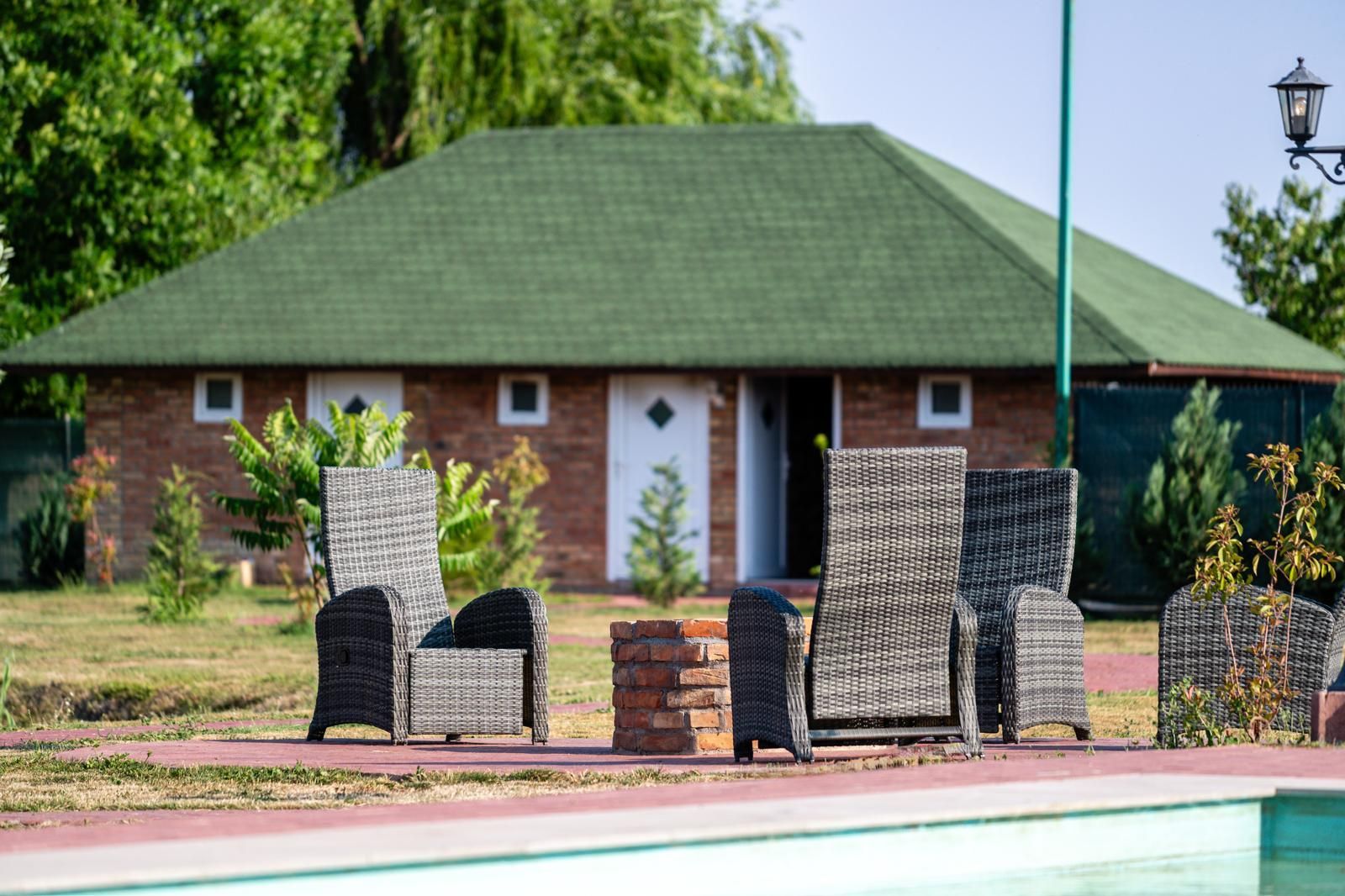 Sala de evenimente cu  piscina si foisor Biled COMISION 0 % CUMPARATOR - Poză 25