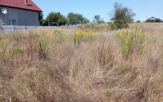 Teren intravilan de vânzare în Avrig | 1.000 mp | PUZ aprobat - Poză 7