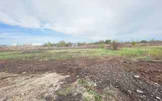 TEREN DUMBRAVITA 602 MP-FRONT 24 ML - Poză 2