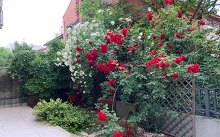 Apartament luminos si spatios renovat in zona Herastrau - Poză 13