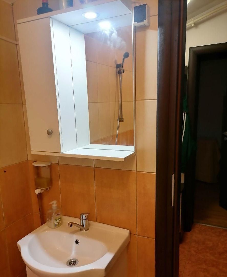 Garsoniera Mansarda Rezervelor Parcare - Poză 7