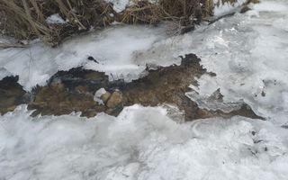 Teren Pretabil Investitie | Parau Rece Rasnov | 10.035mp | Extravilan - Poză 8