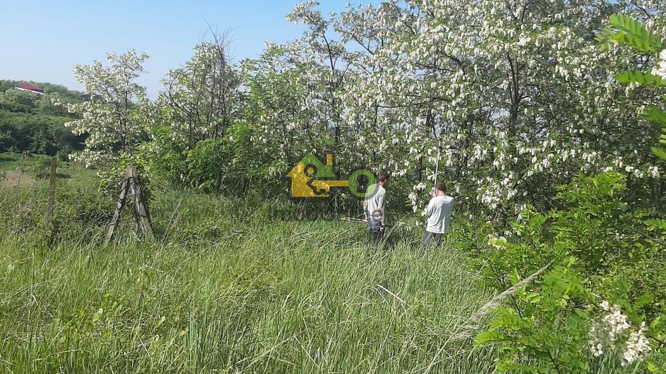 Teren Extravilan, Dealu Viilor, Lugoj - Poză 5