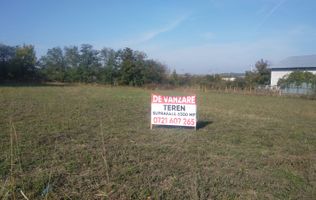 Teren de vânzare în Dascalu, judet Bucuresti Ilfov