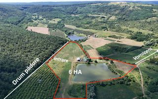 Teren de 6.2 Hectare cu Iaz propriu, lângă pădure – Vorniceni, Strășeni! - Poză 2