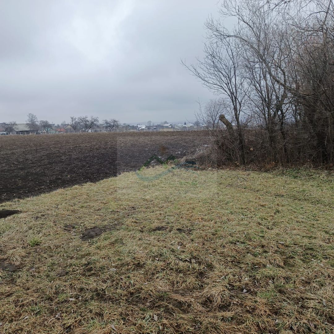 Teren intravilan Ilișești/Suceava - Poză 3