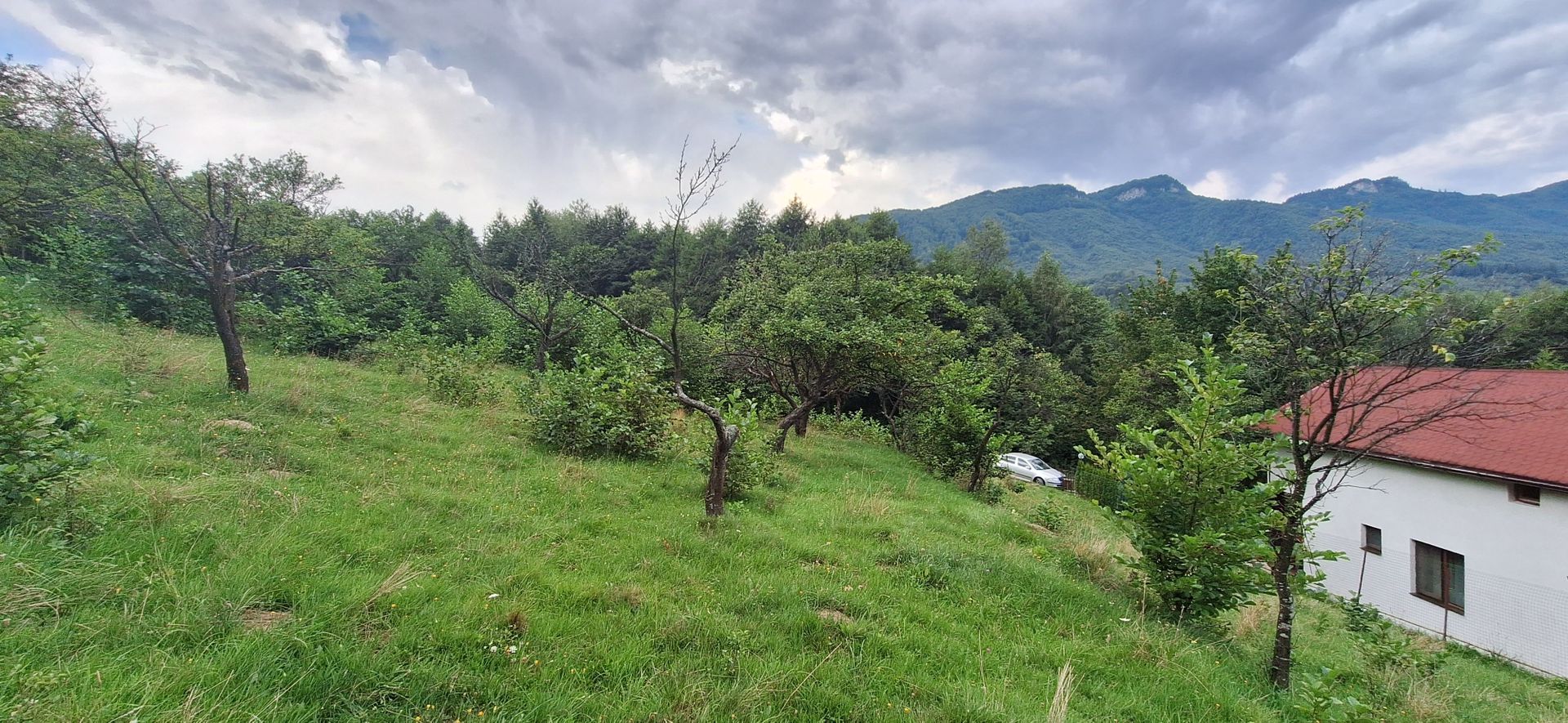 Bran-Predelut doua parcele de 2000+3000mp pret 25 euro/mp - Poză 4