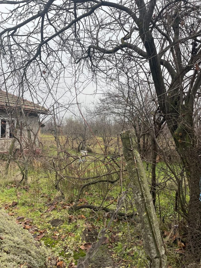 Teren intravilan 3367 mp cu casa demolabile 54 mp puț existent! - Poză 9