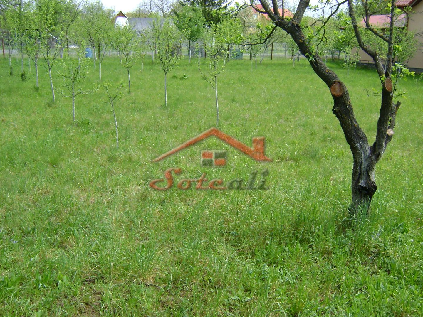 Teren de vanzare in Cornu 1183 mp - Poză 7