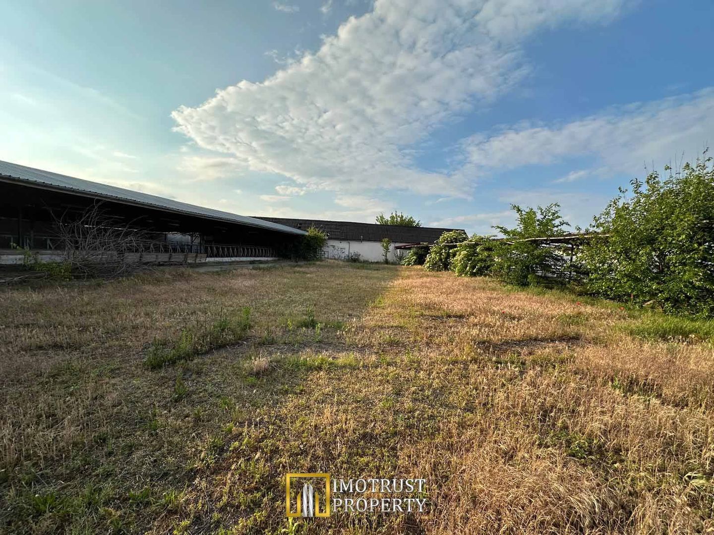 Teren 9.508 mp cu 2 fronturi stradale – Sofronea, Arad - Poză 6