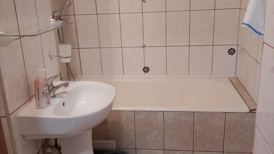 APARTAMENT KISELEF | PARCUL HERASTRAU - Poză 6