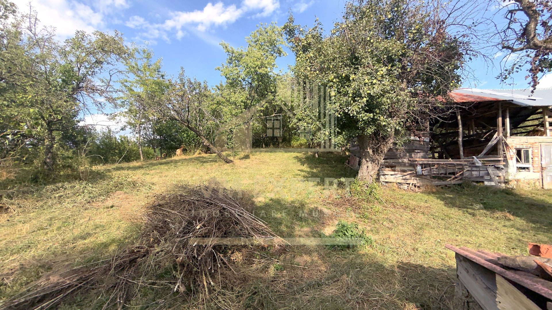 CASA 3 CAMERE TEREN 7770 MP BOTENI ARGEȘ - Poză 30