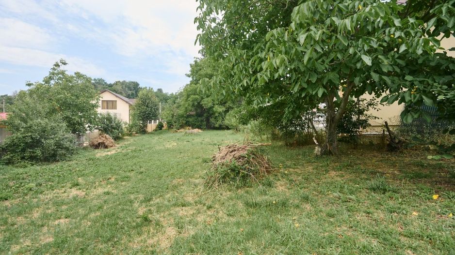 Teren 2240 mp intravilan + casa batraneasca Hintesti-Basangesti - Poză 7
