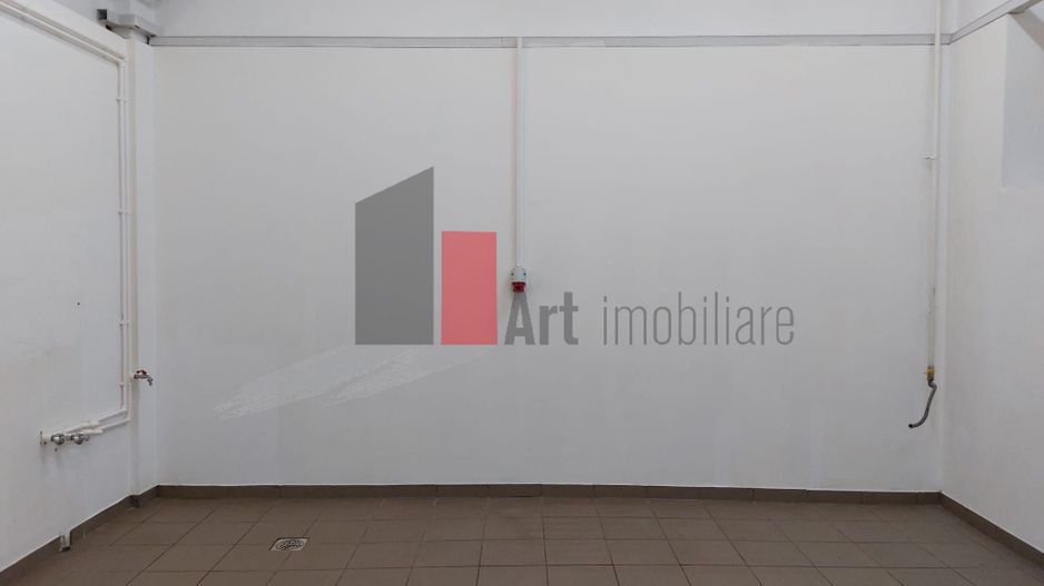 Spatiu Piata Muncii, pretabil activitati industriale/comerciale - Poză 2