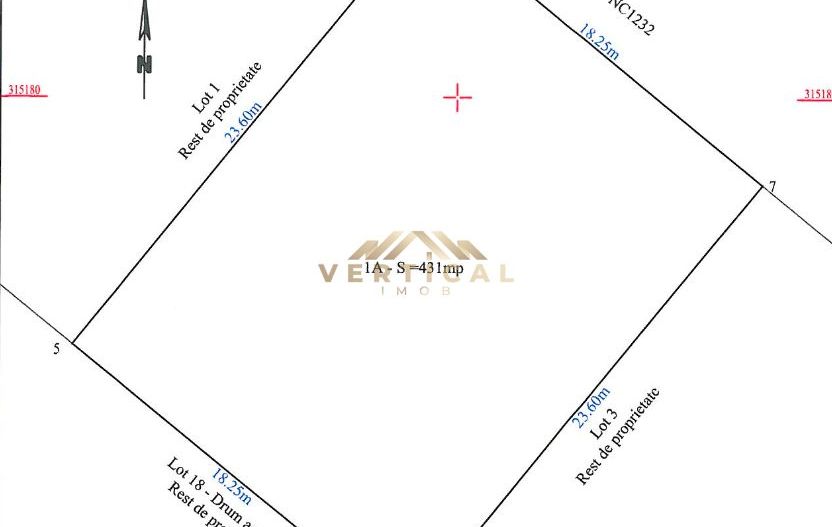 Teren intravilan 430 mp | Direct la asfalt | Str. Codrului, Berceni - Poză 4