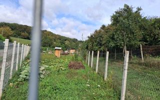 Teren intravilan, 938 mp, zona Remetea - Poză 8