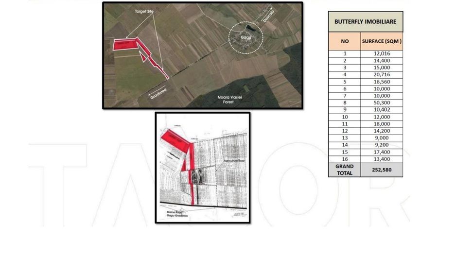 Teren 25.26ha Dascalu / DJ 200 - Poză 5