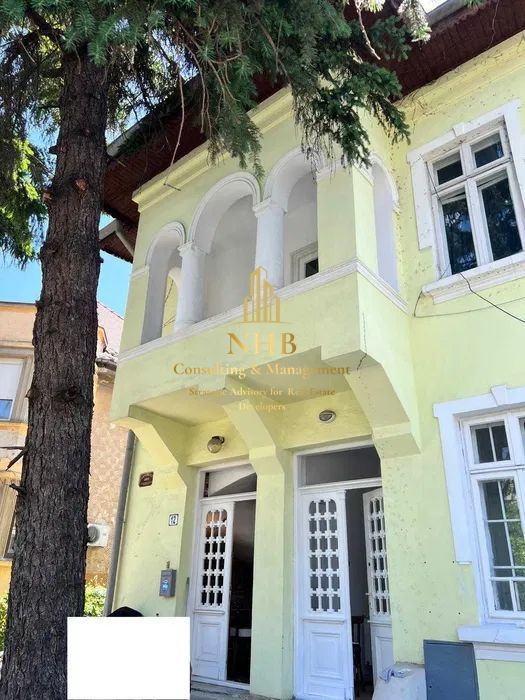 Vila de inchiriat  D+P+E+M | Bruxelles | Dorobanti | 100 mp curte - Poză 1