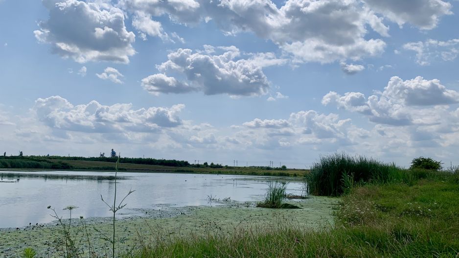 Teren Crevedia 62000 mp - Poză 9