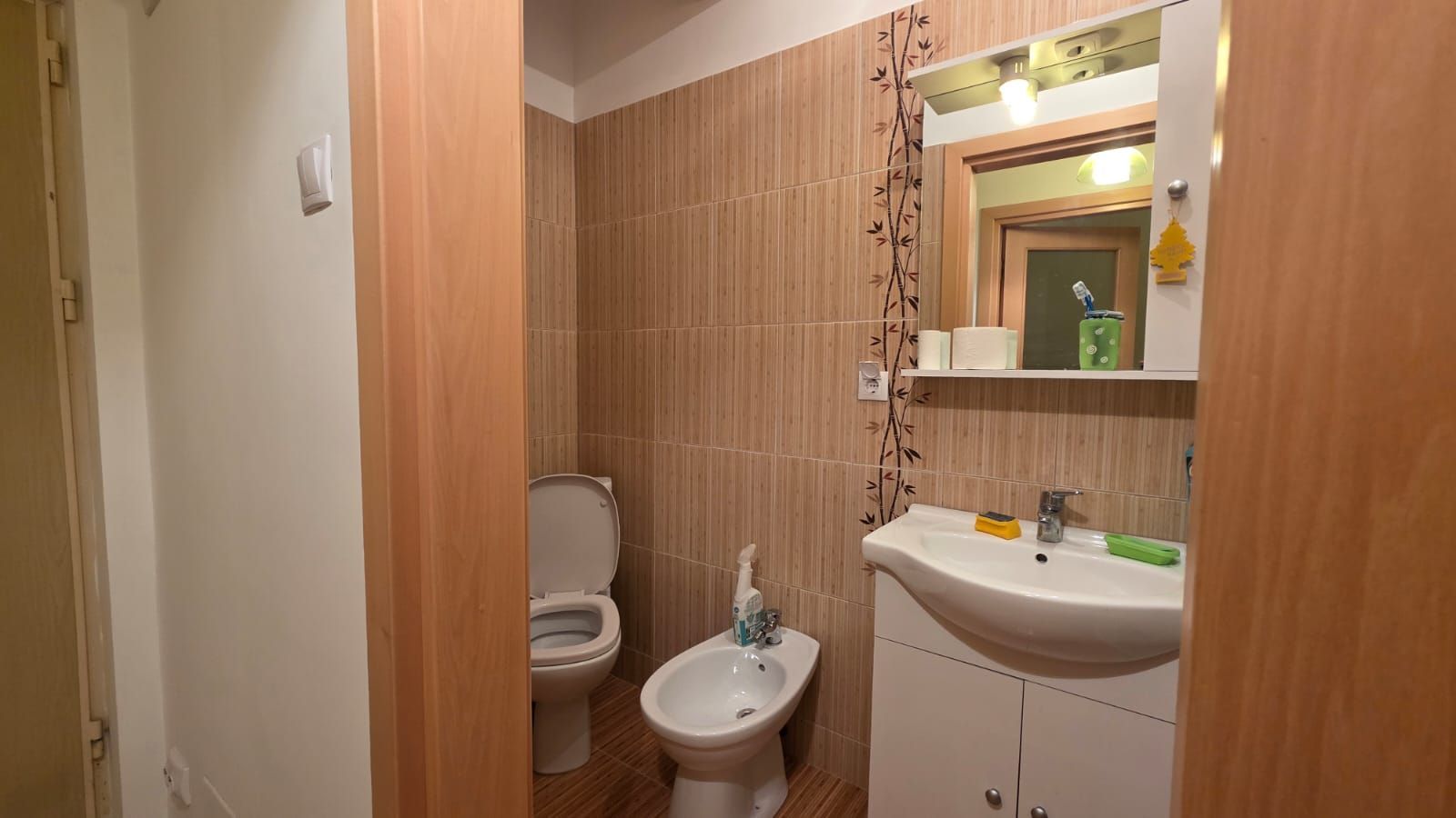 APARTAMENT 1 CAMERA 30MP CUG VISOIANU - Poză 8