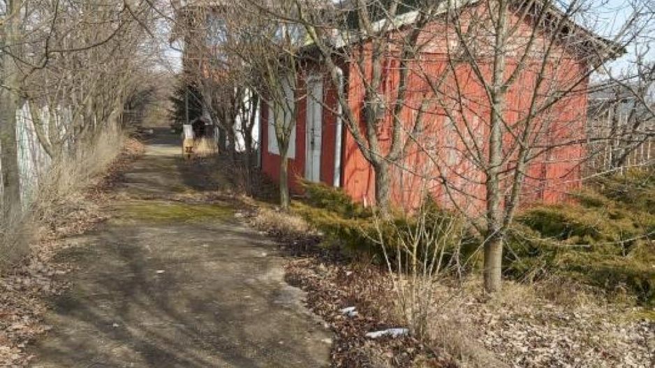 Teren la 35 km de Bucuresti - Izvorani - Ciolpani - Poză 12