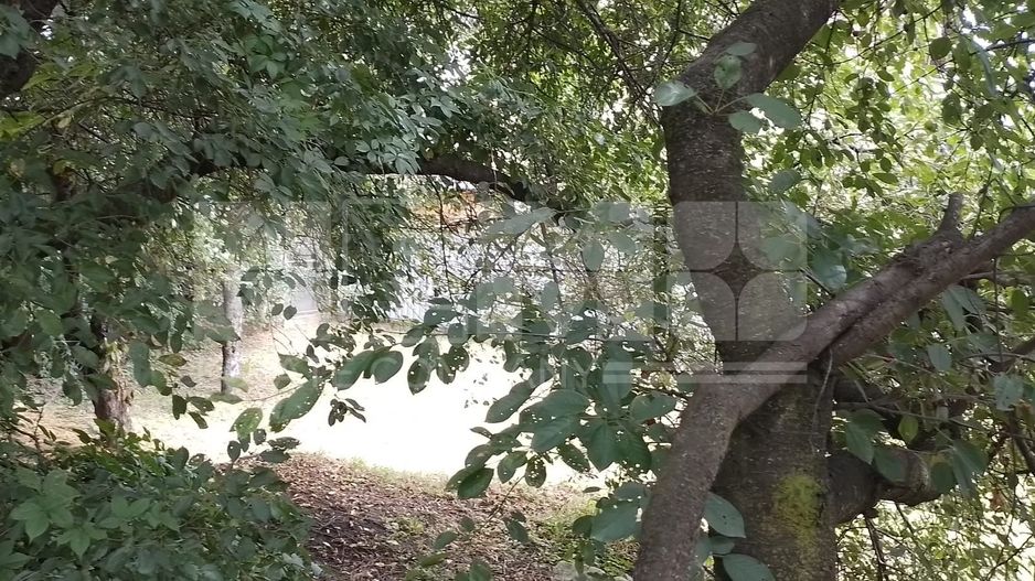 Teren intravilan | Zamca, Suceava | 243.000 Euro - Poză 9