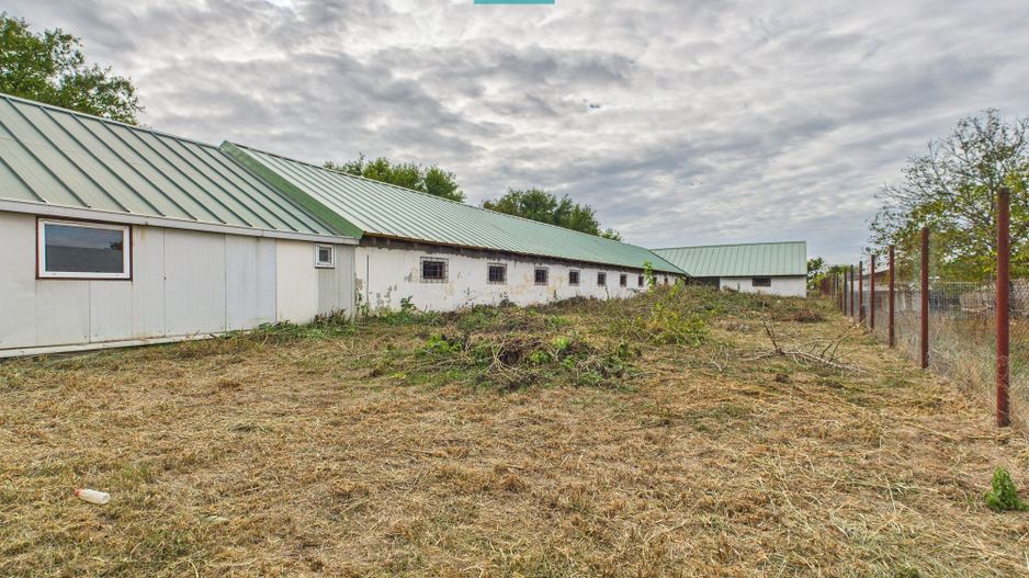 Hală pentru producție / fermă zootehnică  - Variaș - Poză 18