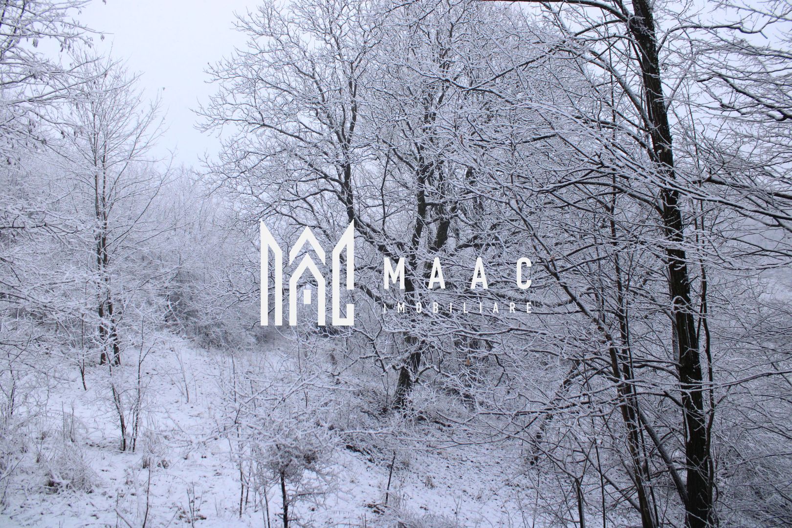 Teren cu izvor de apă minerală  Dangești, Punctul Valea Mare - Poză 35