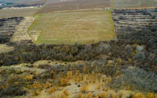 Teren pe deal în Miniș - Poză 8