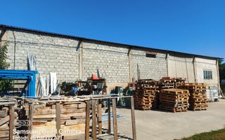 Hala ideala pentru depozitare str.Santaului - Poză 3