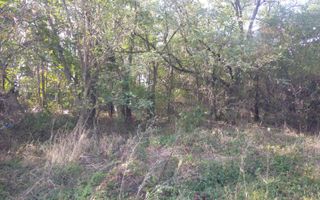 Teren de vânzare în Dascalu, judet Bucuresti Ilfov - Poză 13